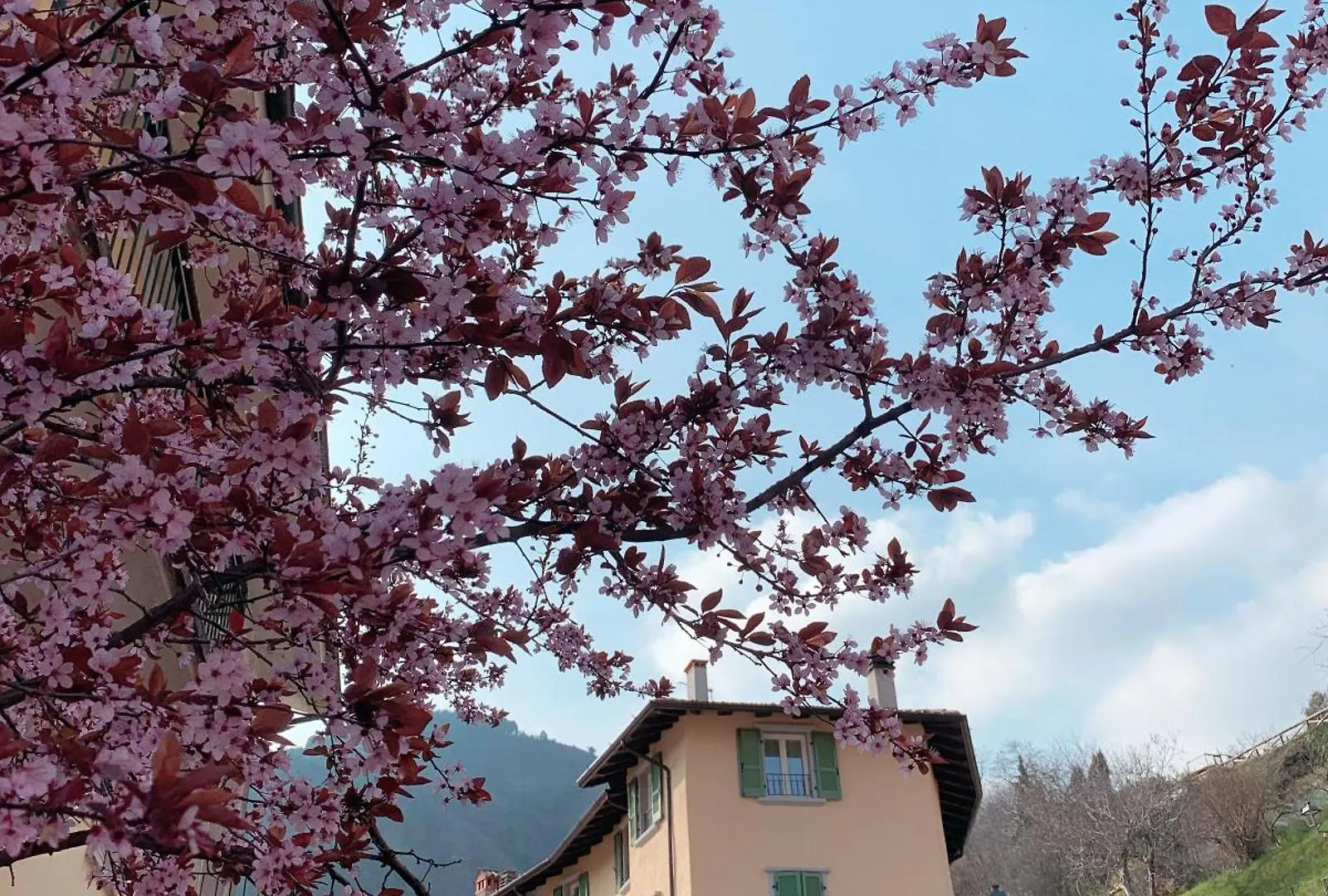 Appartamenti Lilla Tremosine 0*,  Italy